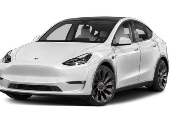 TESLA MODEL Y 2021 5YJYGDEF9MF262223 image